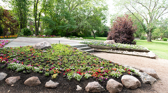 WJ ELLIOTT ARBORETUM