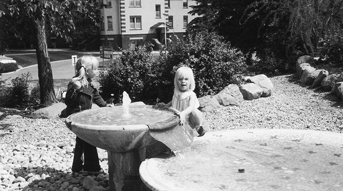 Historic arboretum photo