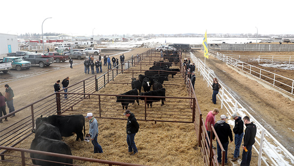 The Round Up sale from the outside