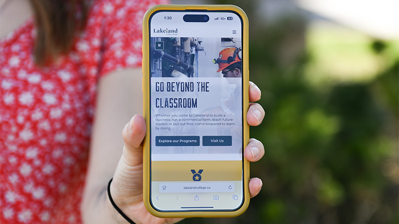 New website on a mobile phone