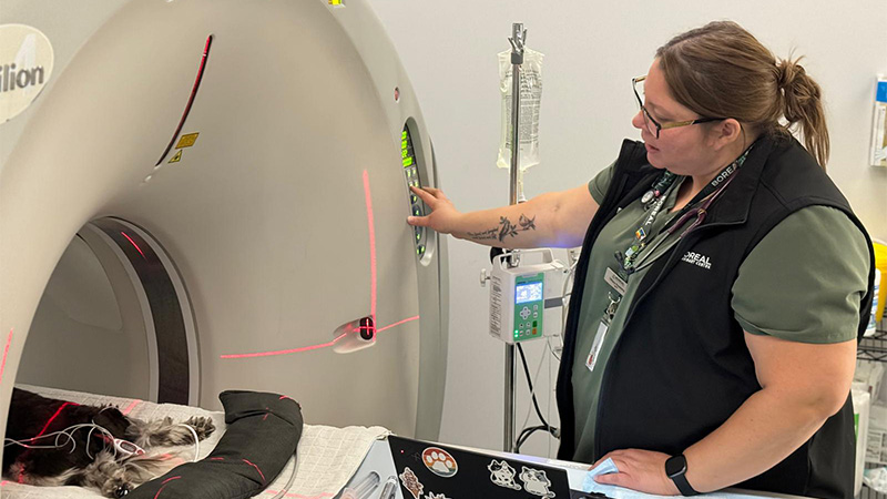 Tiffany operating an MRI