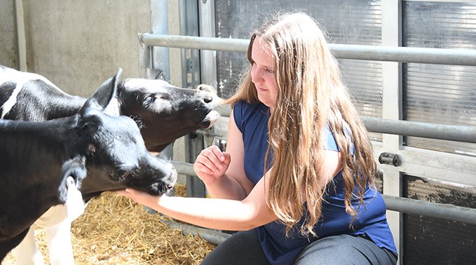 Courtney Wallace and calves