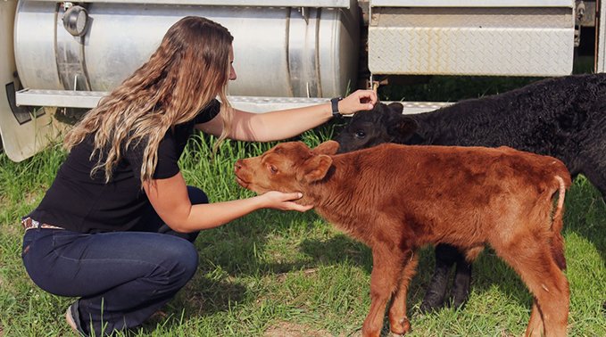 Jordy Howlett give two calfs head scratches.