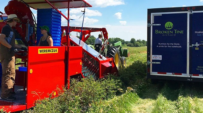 The Broken Tine Orchard