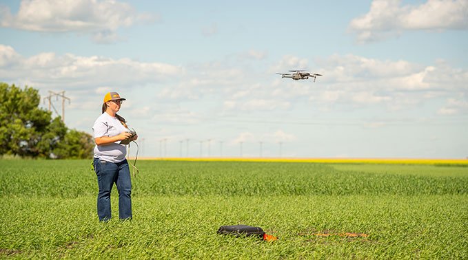 Kaylie Krys operates a drone in a canola field
