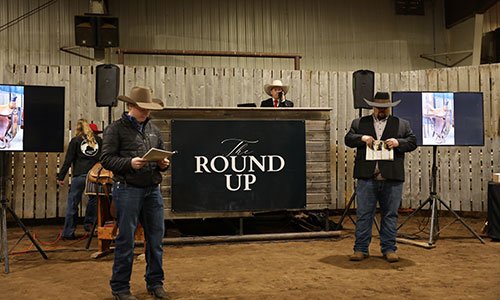RoundUp Sale 2025