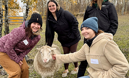 Students with a sheep
