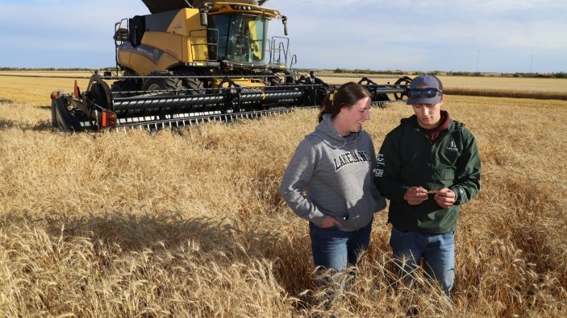 Students in a wheat field