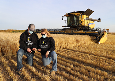 student check mature crop