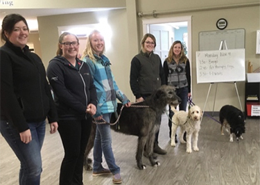 AHT students ready to share companion dogs