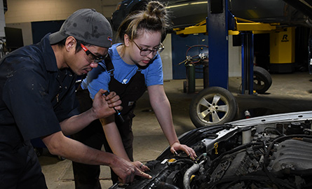 Automotive Service Technician