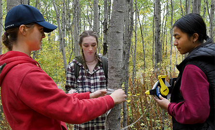 Students measuring tree diameter