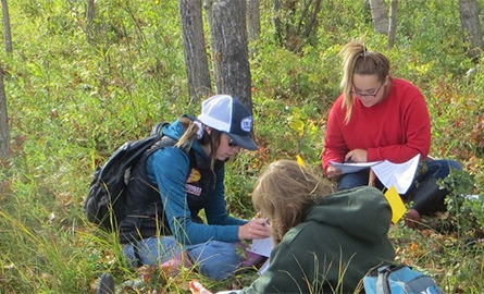 Students in a forest taking measurements