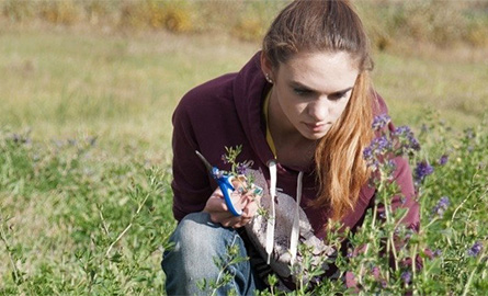 Student collecting samples during field work