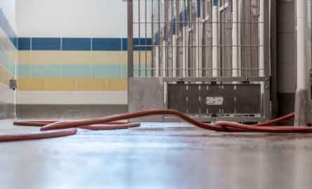 open kennels with a hose