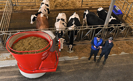 Students in the dairy farm next to a pen