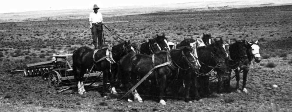 plowing demonstration circa 1912