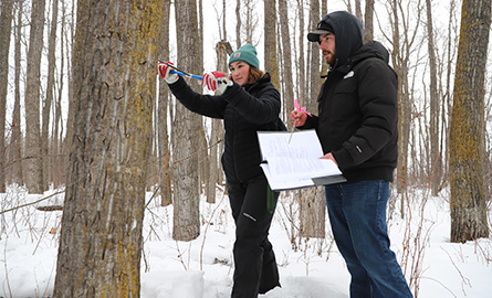 Students working on a tree core sample