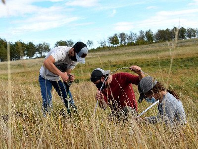 A trio of students complete a wetland assessment