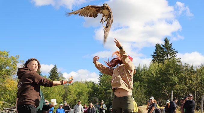 Student releasing a hawk