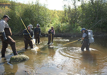 Students electrofishing