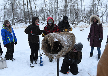 Students installing nest tunnels
