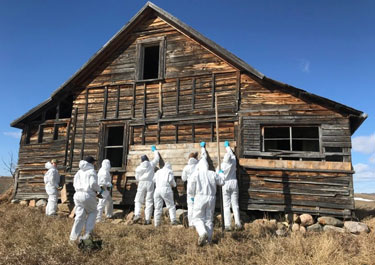 old house that serves as bat habitat