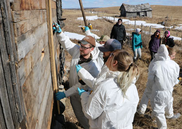 students work on restoring an old house into bat habitat