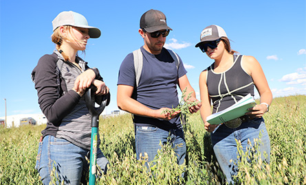 Students conducting a field study