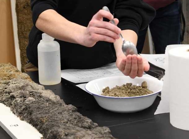 Students analyzing samples