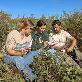 Students doing a study in a field