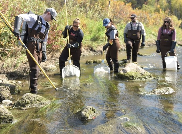 Students learning electro-fishing