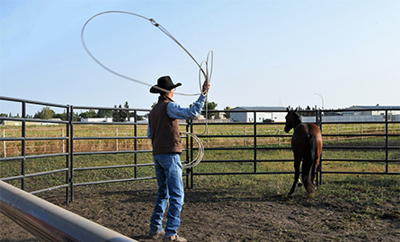 Student preparing to rope a horse