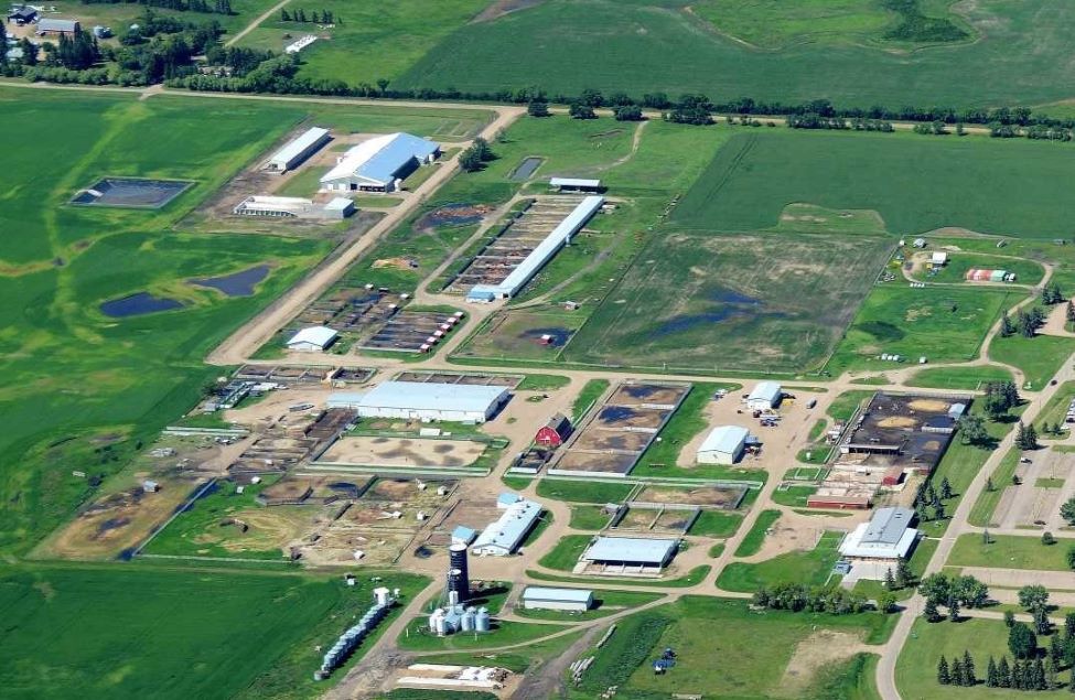 aerial of the college farm buildings