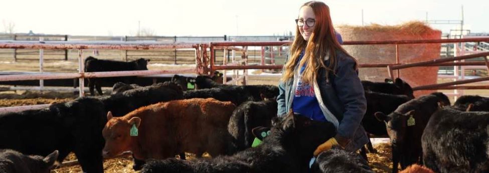 female students with group of calves