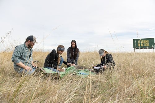 Environmental sciences students learn in action