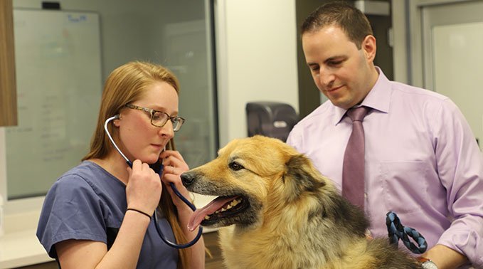 Funding announcement