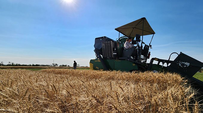 A agricultural sciences student operates a combine.