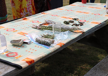 Medicinal plants are displayed on a table