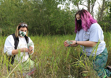 Students handling plants and grass during a walk