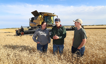 Three students in a crop field
