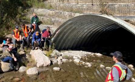 students studying a waterway near Jasper National Park