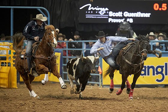 Scott Guenthner goes after a steer during the Wrangler National Finals Rodeo.