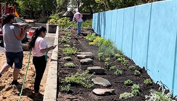 Lakeland's human services garden