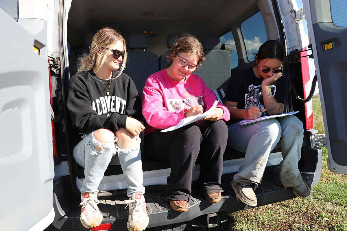 Programs and courses