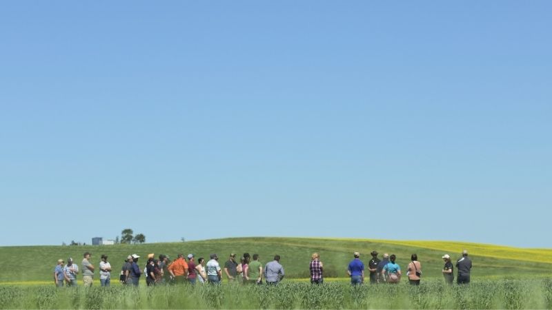 A group of people tour a crop field