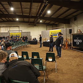 Students working the roundup event