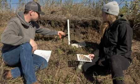 students doing soil classiciation