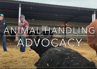 Animal Handling Advocacy