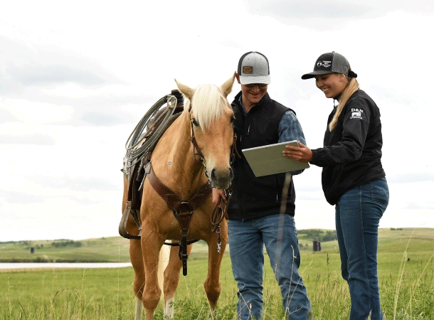 Lakeland students and a horse during a lesson